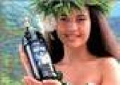 Csak MOST! Otthonr�l, kock�zat n�lk�l.